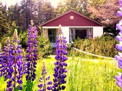 Goodview Cottages By Stanhope Beach Pei For Adults Only Экстерьер фото