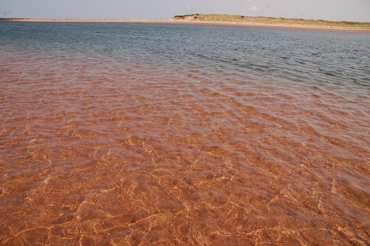 Goodview Cottages By Stanhope Beach Pei For Adults Only Экстерьер фото