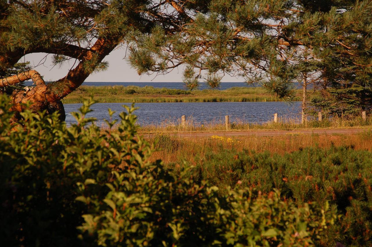Goodview Cottages By Stanhope Beach Pei For Adults Only Экстерьер фото